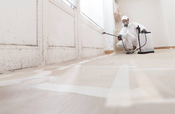 24/7 Emergency Mold Removal experts in Fairview, NJ